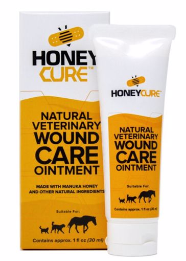 Honey Cure Ointment Tube