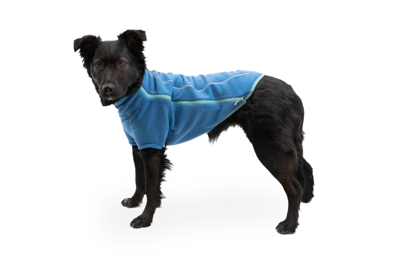 Climate Changer Dog Fleece Blue Jay | Ruffwear