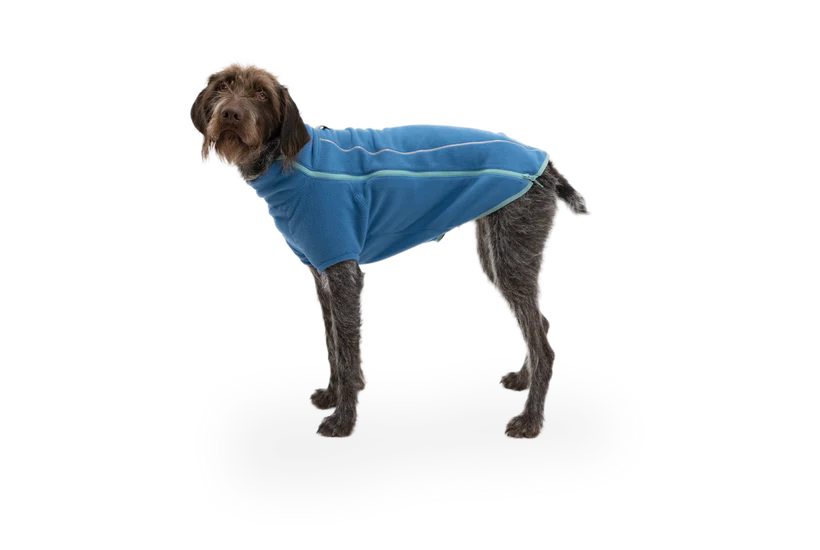 Climate Changer Dog Fleece Blue Jay | Ruffwear