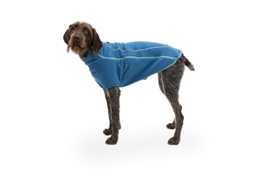 Climate Changer Dog Fleece Blue Jay | Ruffwear