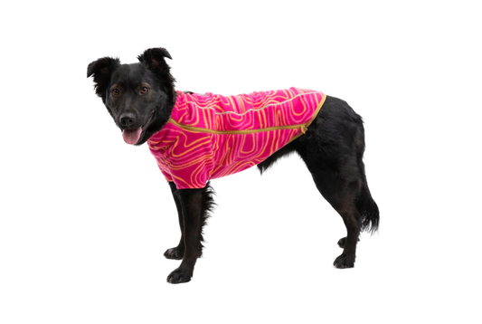 Climate Changer Dog Fleece Strata | Ruffwear