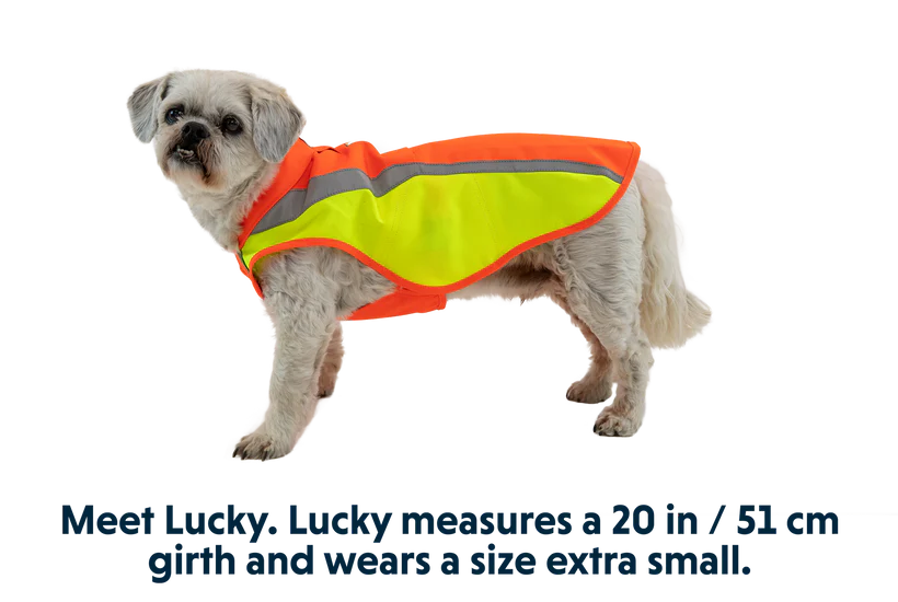 Blaze Orange Lumenglow Hi-Vis Dog Jacket | Ruffwear