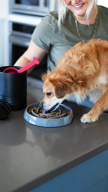 Interactive Slow Dog Feeder | Messy Mutts