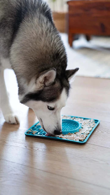 Framed Spill Resistant Lick Bowl Mat