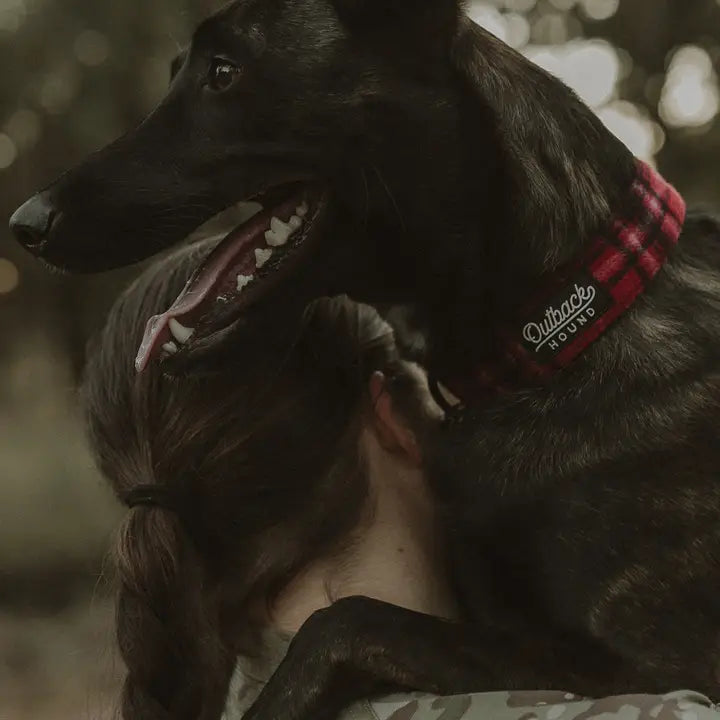 Outback Hound Red Flannel Premium Dog Collar