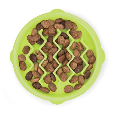 Green Wave Fun Feeder Mini Slow Bowl | Outward Hound