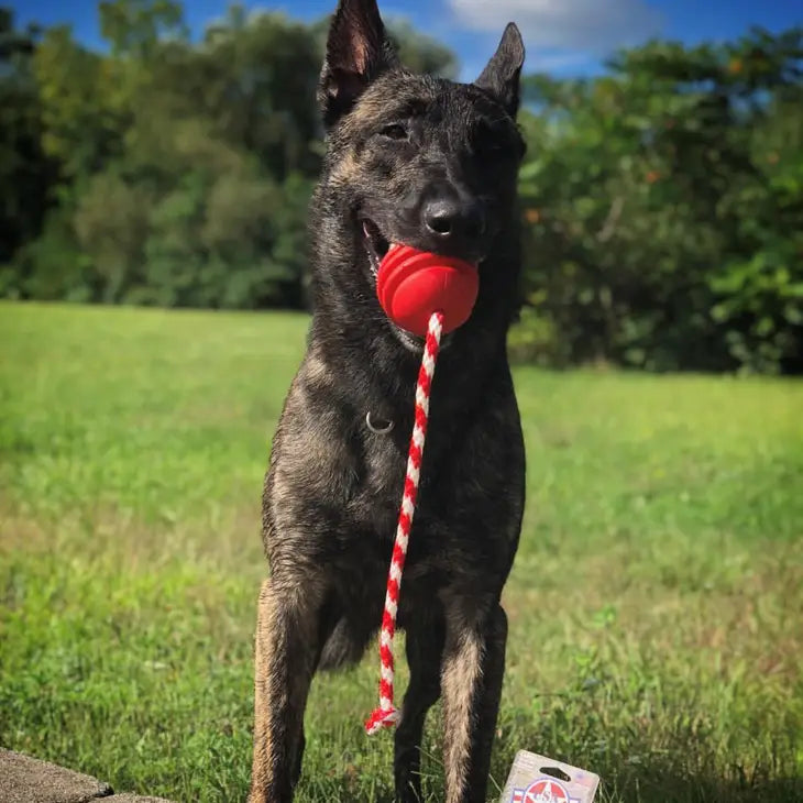 Stars and Stripes Ultra-Durable Rubber Chew Toy