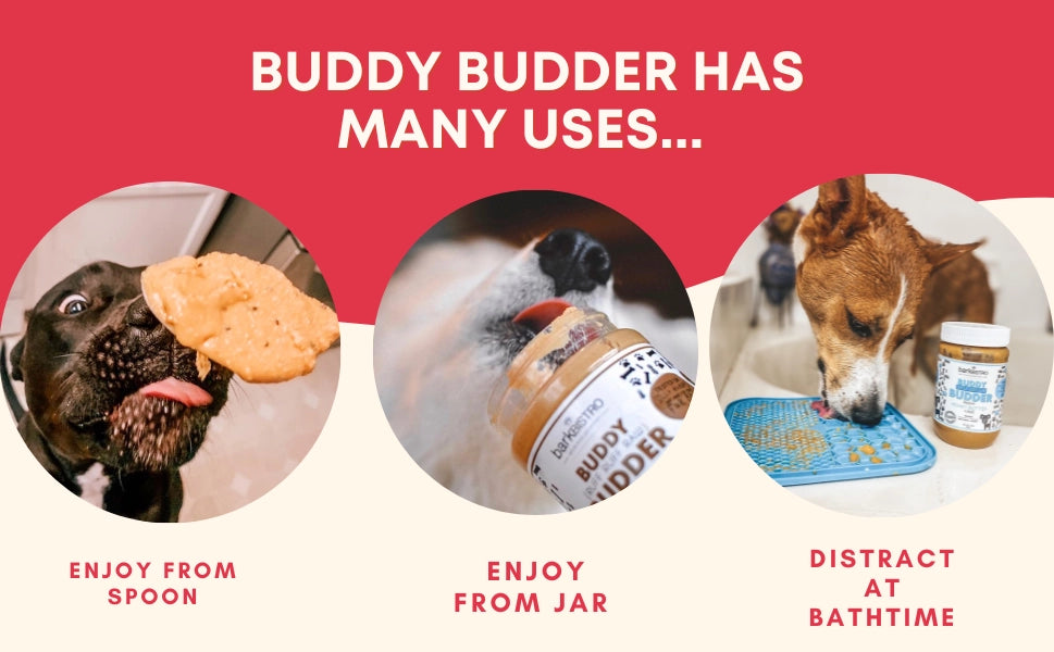 Bangin Bacon Peanut Butter for Dogs | Buddy Budder