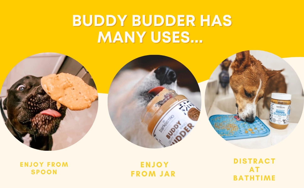 Barkin' Banana Peanut Butter for Dogs | Buddy Budder