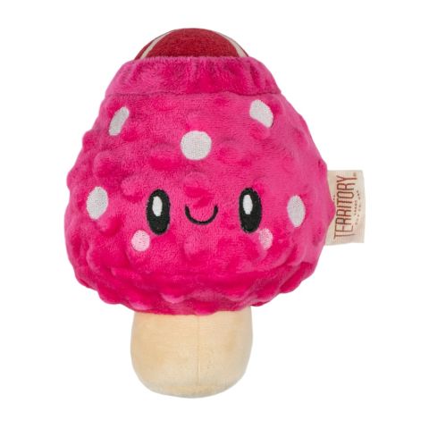 Territory 2-in-1 Mushroom Toy