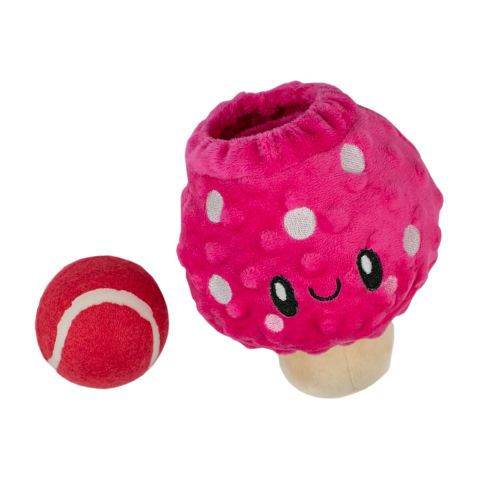 Territory 2-in-1 Mushroom Toy