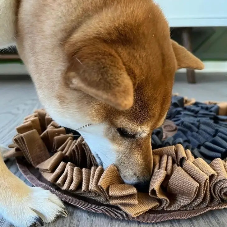 Cookie Snuffle Mat