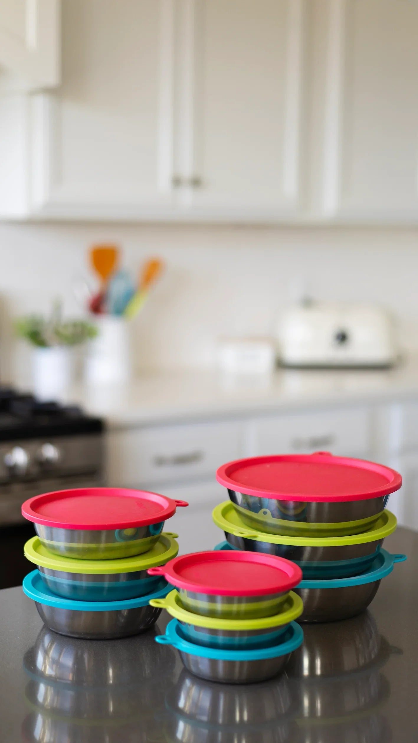 Stainless Steel Dog Bowl & Lid Set | Messy Mutts