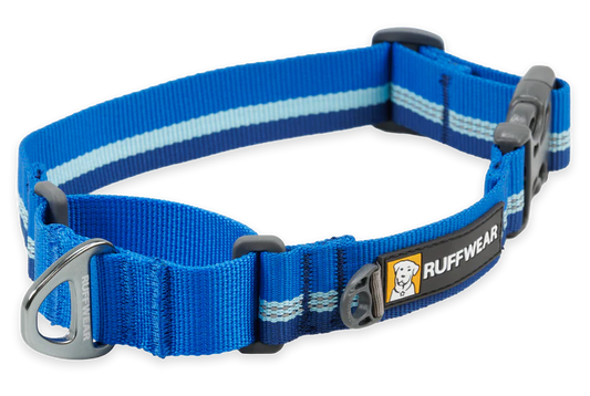 Web Reaction Martingale Dog Collar Blue Pool | Ruffwear