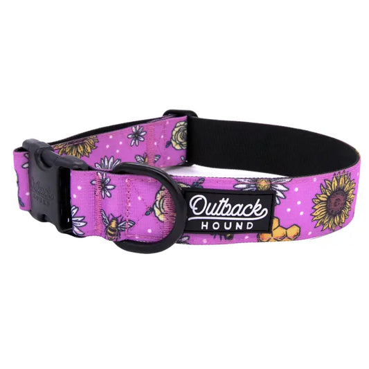 Outback Hound Bee's Knees Lilac Trail Collar