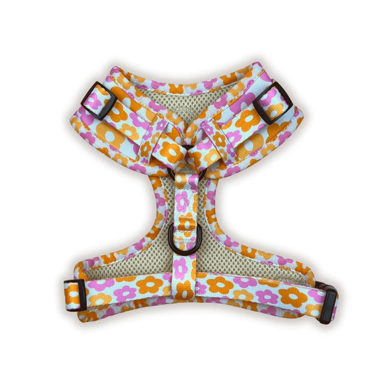 Pocket of Posies Harness by Big Dog & Skippy