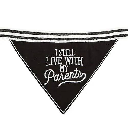 Pet Bandana - I Still Live with My Parents