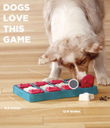 Dog Brick Puzzle Toy | Outward Hound