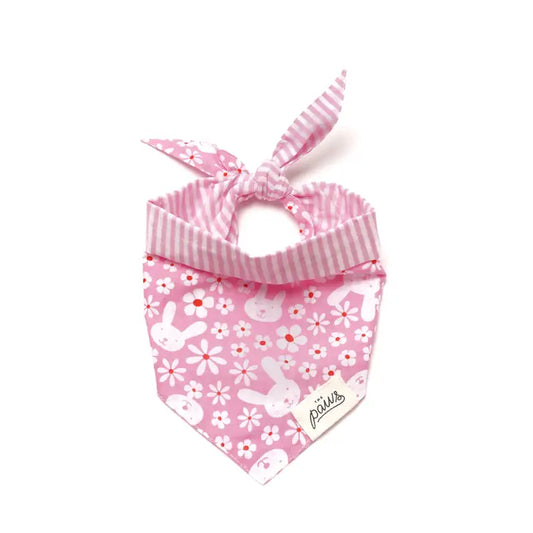 Lola Bandana | The Paws