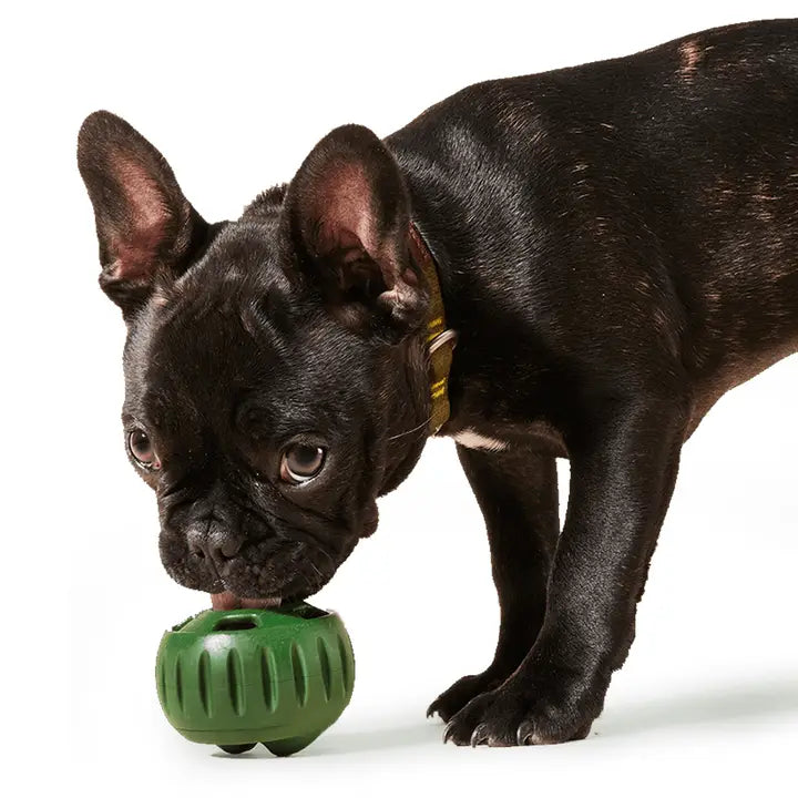 Pupsicle Pops Beef & Peanut Butter | Woof