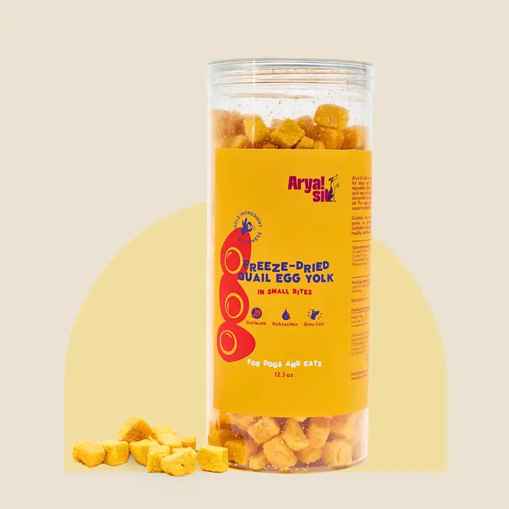 Freeze Dried Egg Yolk Bites | Arya Sit