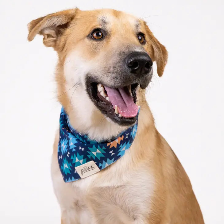 Blue Ridge Dog Bandana | The Paws