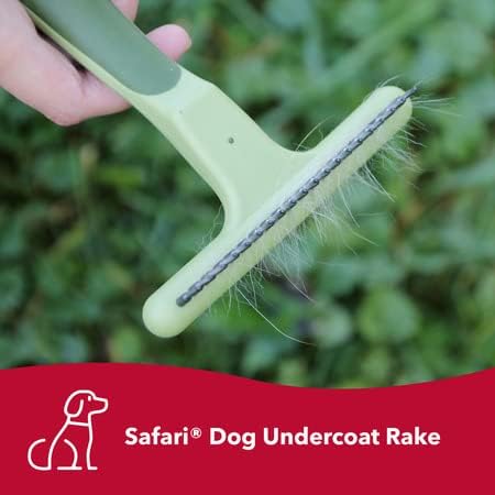 Single Row Undercoat Rake | Coastal Pet