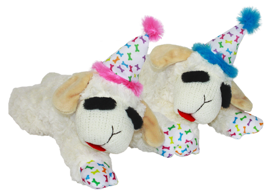 Birthday Lamb Chop | Multipet