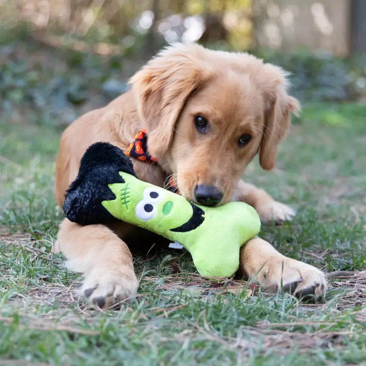 Franken Bone Durable Plush Toy