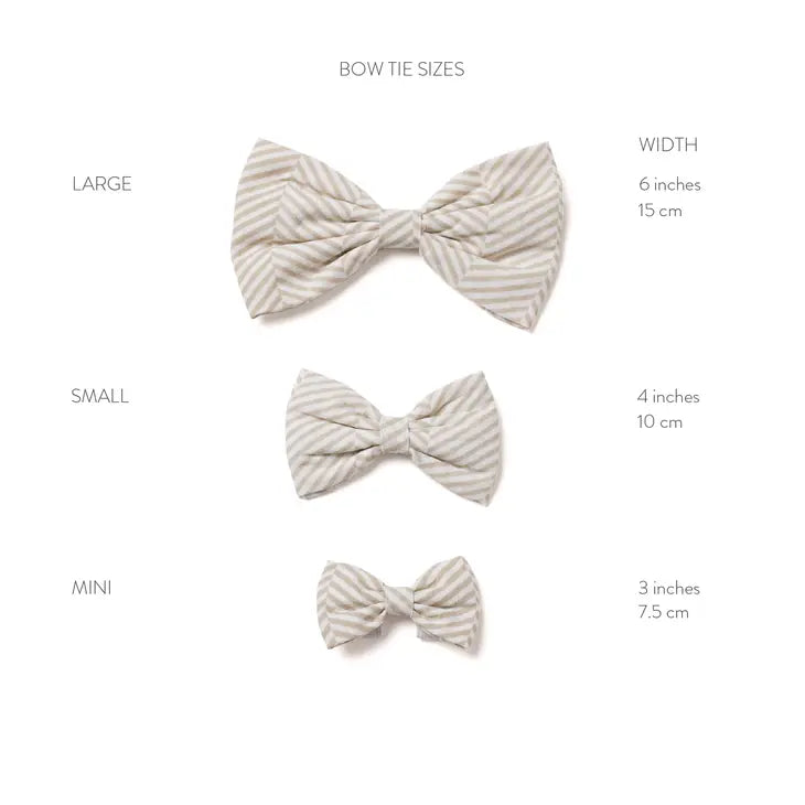 Tully Bow Tie by The Paws