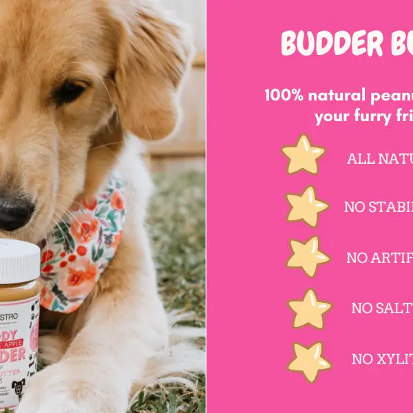 Awesome Apple Peanut Butter for Dogs | Buddy Budder