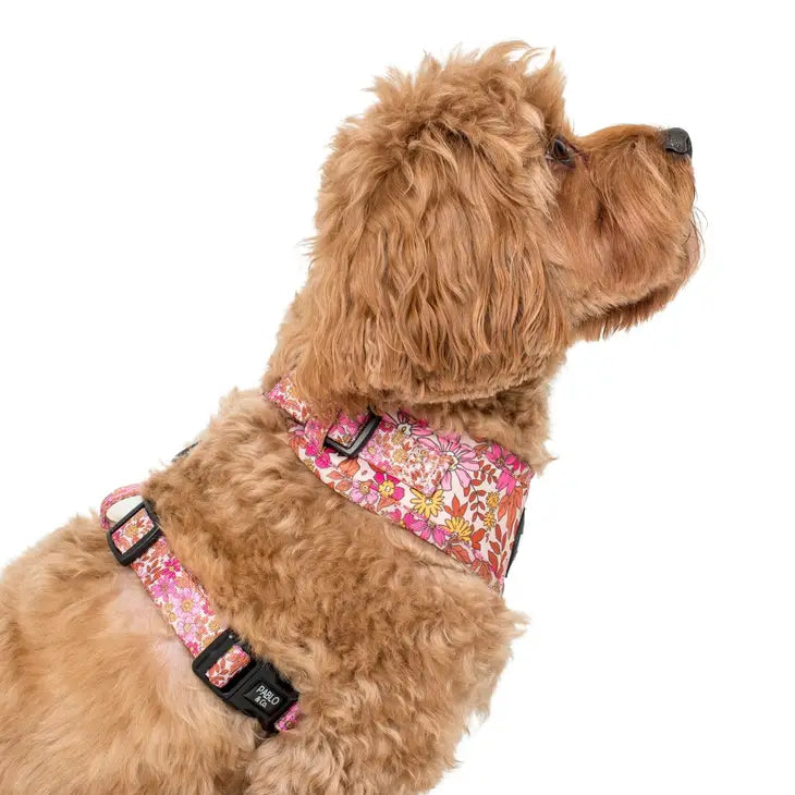 Pink Posie's Adjustable Harness | Pablo & Co.