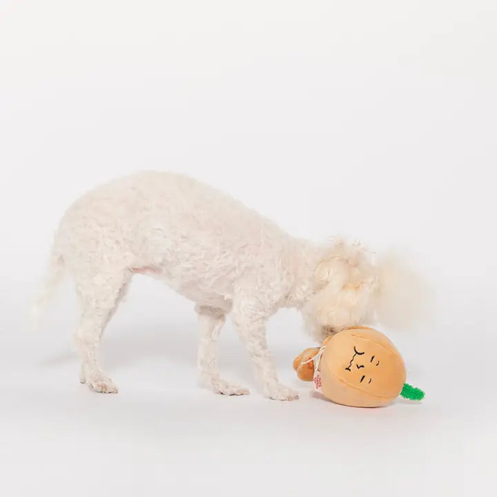 The Furry Folks Yellow Onion Nosework Toy