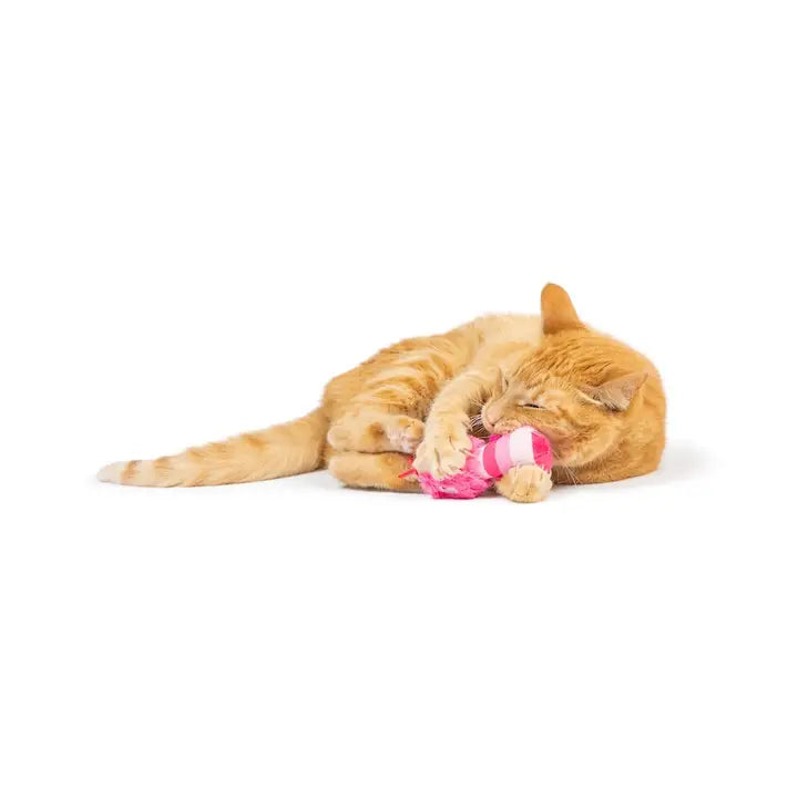 Love Bugs Cat Toy - 2 Pack | Huxley & Kent