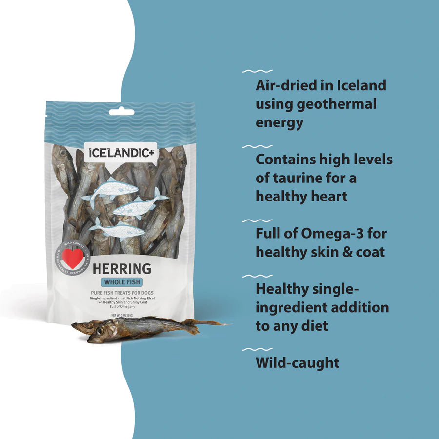 Whole Fish Herring Treats | Icelandic+