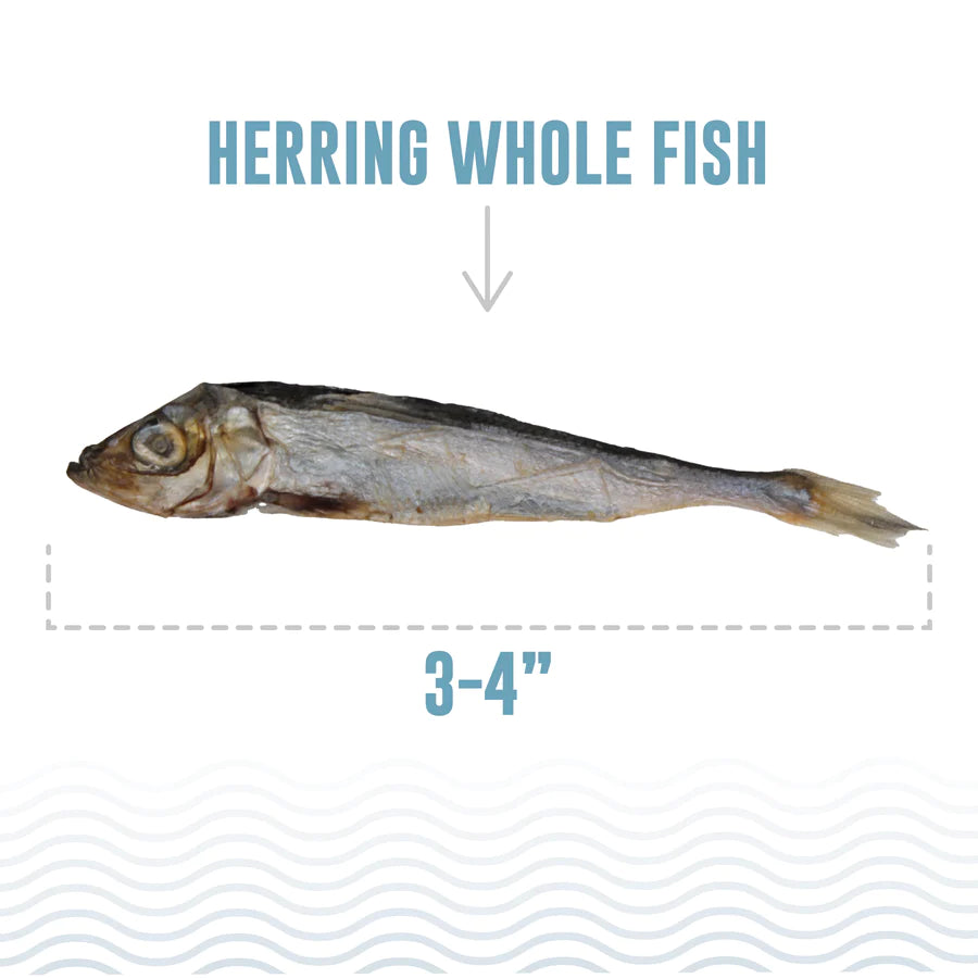 Whole Fish Herring Treats | Icelandic+