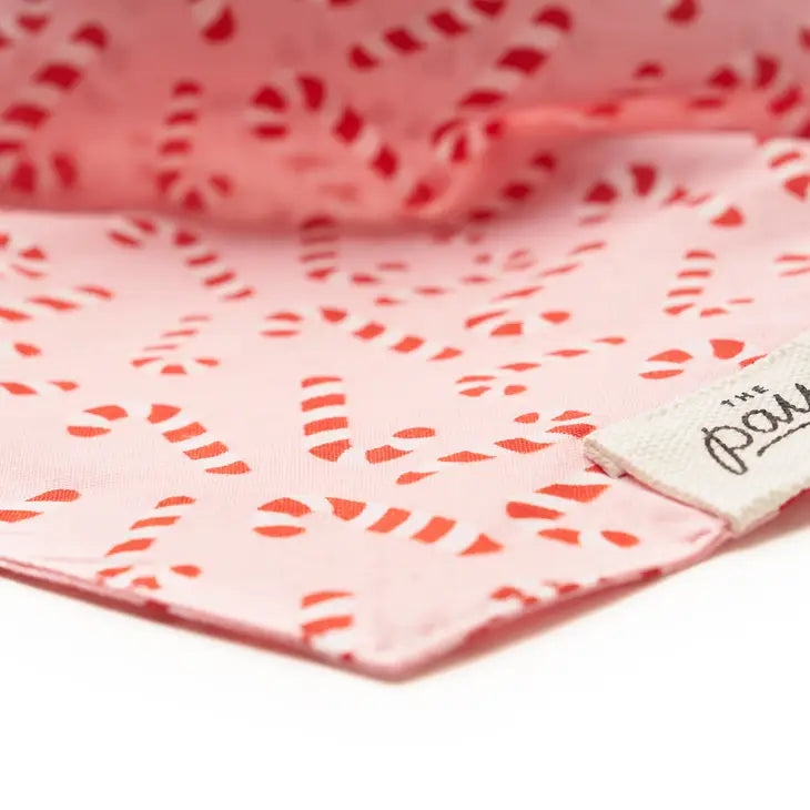 Candyland Pink Dog Bandana