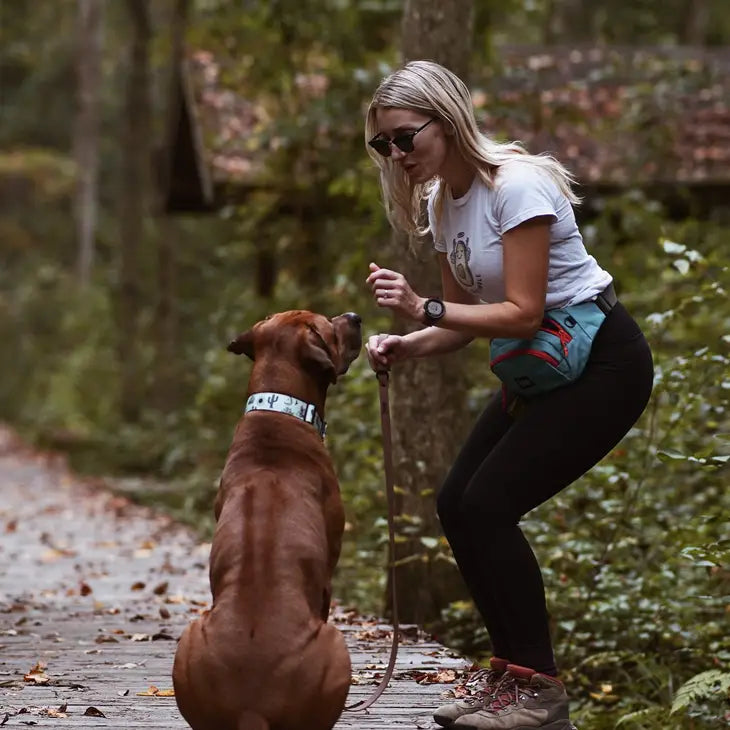 Outback Hound Trail Mate Pack