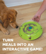 Wobble Bowl Puzzle Toy | Outward Hound