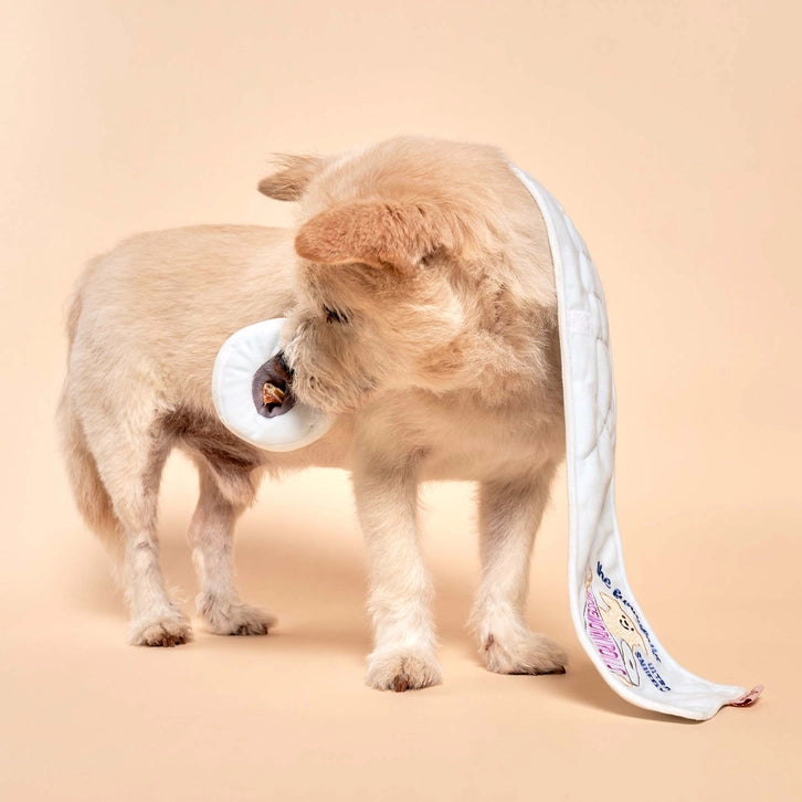 The Furry Folks Toilet Paper Nosework Toy