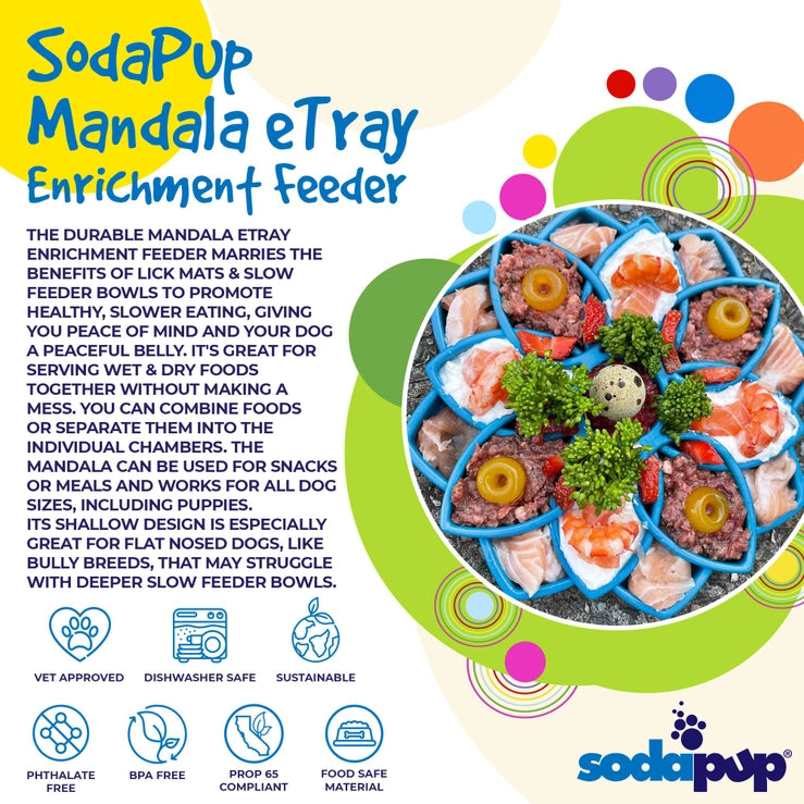 Mandala Feeder Tray | SodaPup