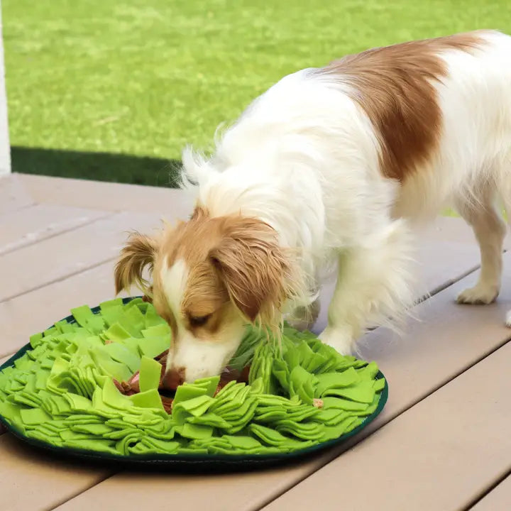 Avocado Pal Snuffle Mat