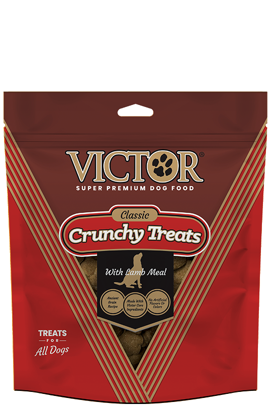 Crunchy Dog Treats | Victor