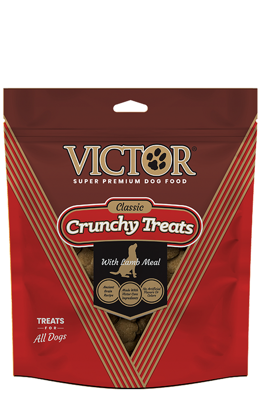 Crunchy Dog Treats | Victor