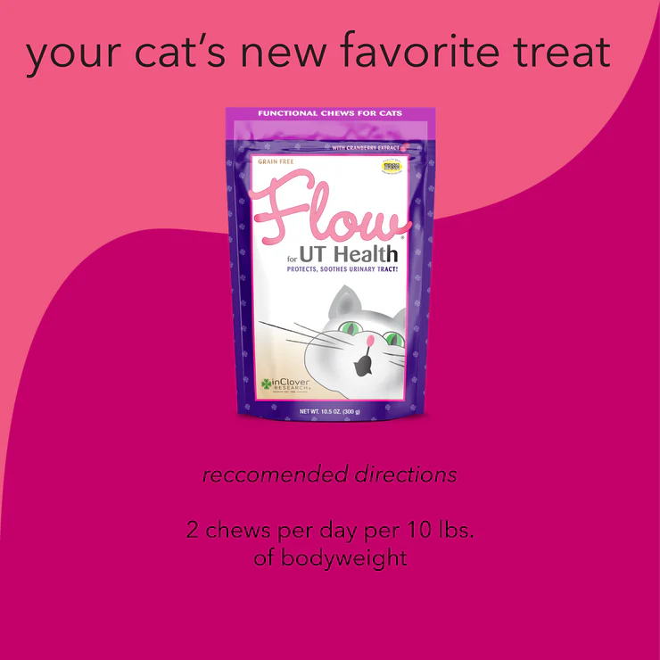 FLOW, UT Health Soft Chew With Cranberry Extract for Cats | inClover