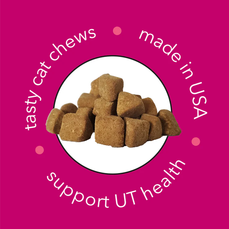 FLOW, UT Health Soft Chew With Cranberry Extract for Cats | inClover