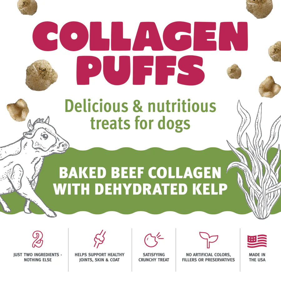 Collagen Puffs with Kelp | Icelandic+