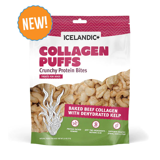 Collagen Puffs with Kelp | Icelandic+