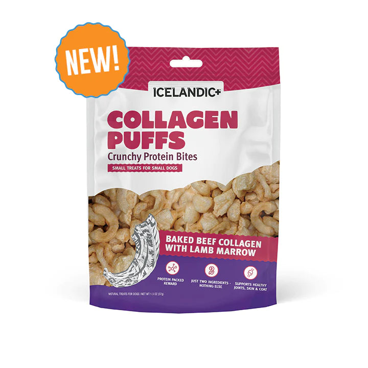 Collagen Puffs with Lamb Marrow | Icelandic+