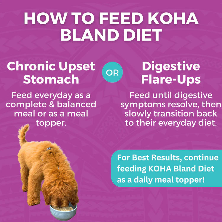 KOHA Limited Ingredient Bland Diet Beef & White Rice Recipe for Dogs